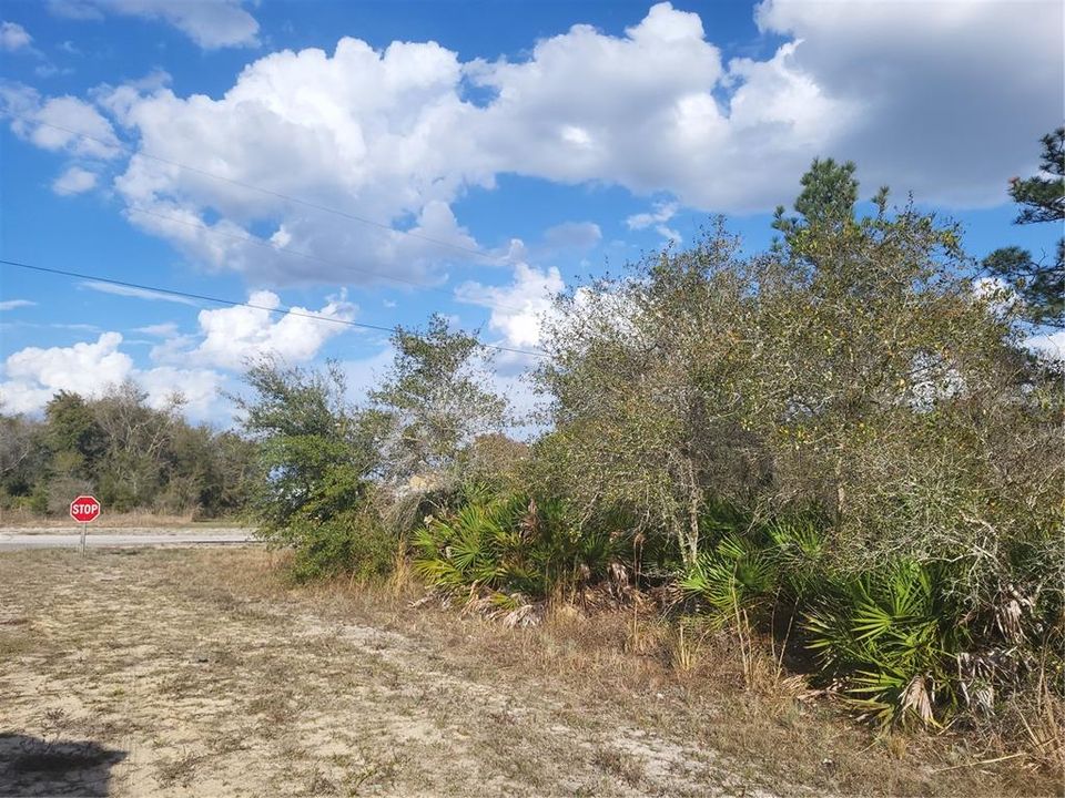 待售: $20,000 (0.61 acres)