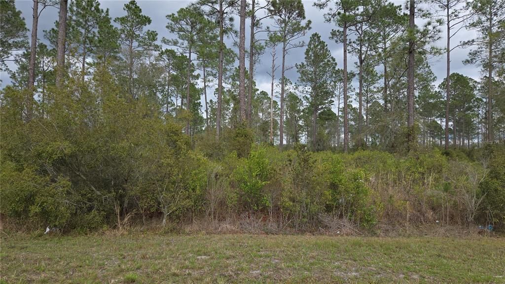 На продажу: $80,000 (3.78 acres)