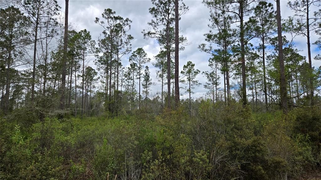 На продажу: $80,000 (3.78 acres)