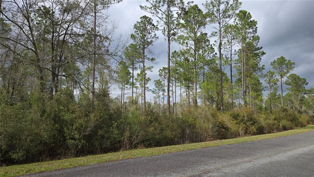 На продажу: $80,000 (3.78 acres)