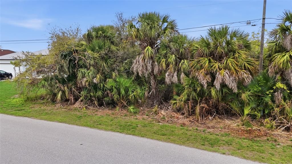 Active With Contract: $75,000 (0.29 acres)
