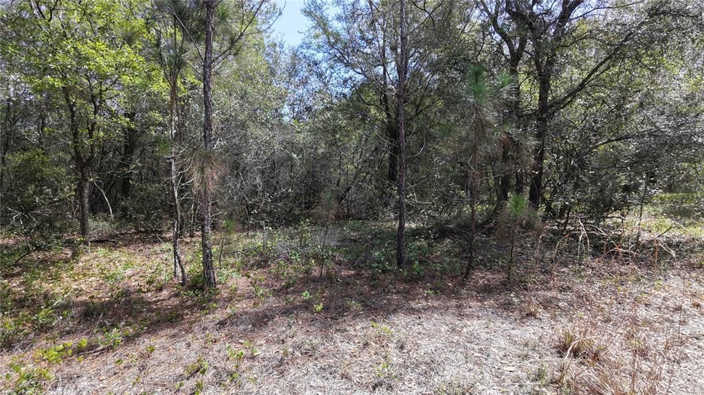 For Sale: $294,990 (10.77 acres)