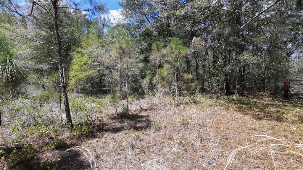 For Sale: $294,990 (10.77 acres)
