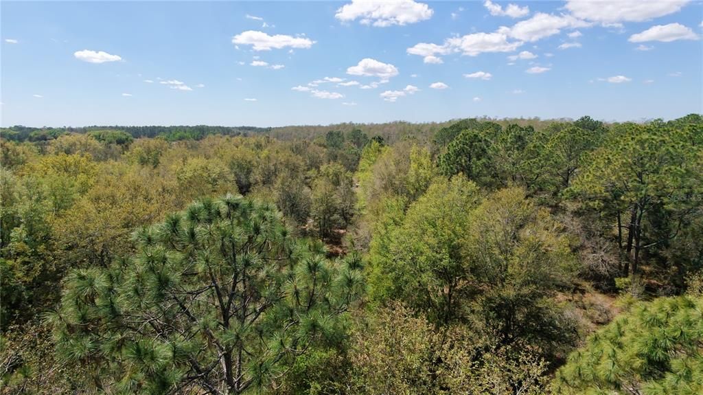 For Sale: $294,990 (10.77 acres)