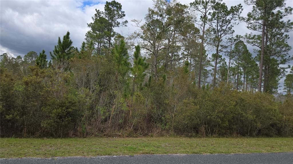 На продажу: $60,000 (2.16 acres)