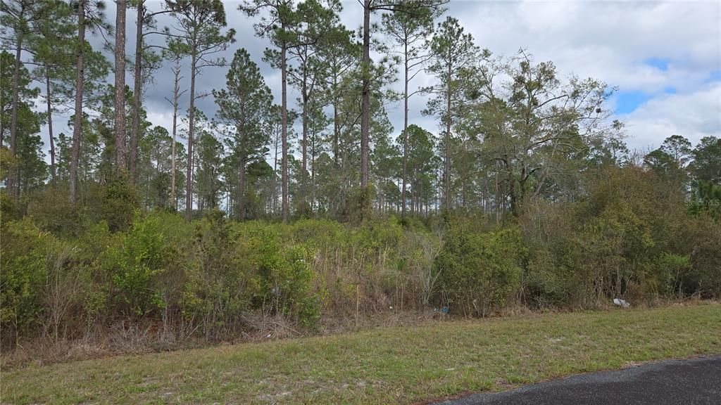 На продажу: $60,000 (2.16 acres)