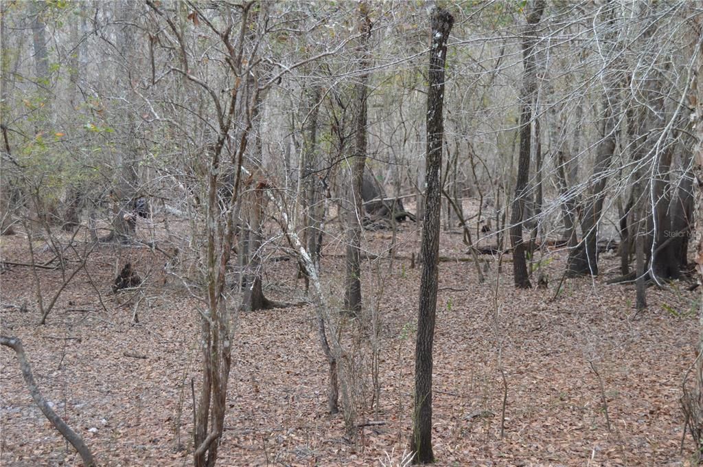 На продажу: $160,000 (5.17 acres)