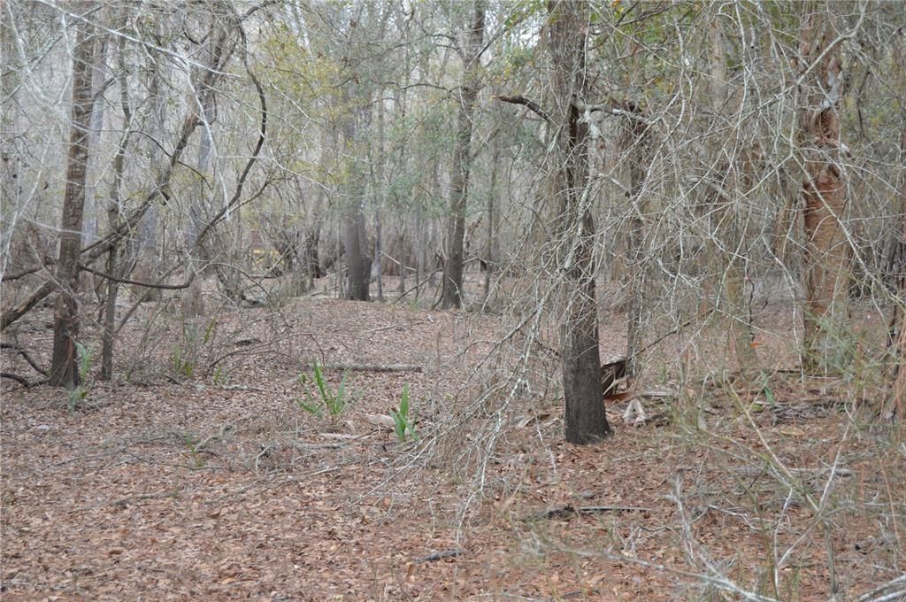 На продажу: $160,000 (5.17 acres)