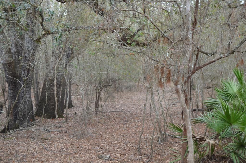 На продажу: $160,000 (5.17 acres)