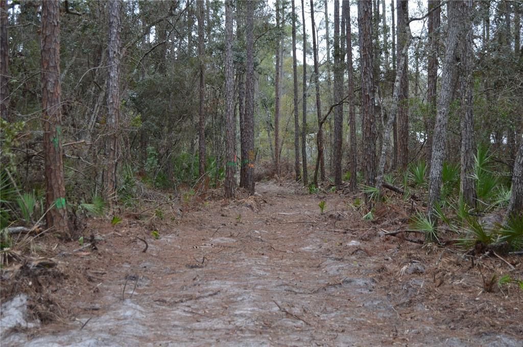 На продажу: $160,000 (5.17 acres)