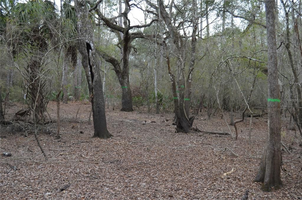 На продажу: $160,000 (5.17 acres)