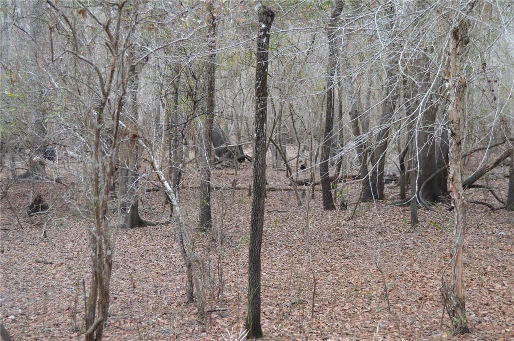 На продажу: $160,000 (5.17 acres)
