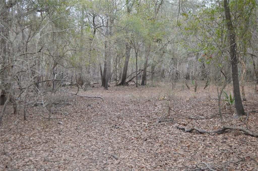 На продажу: $160,000 (5.17 acres)