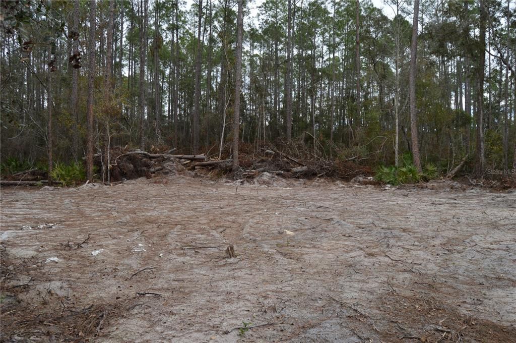 На продажу: $160,000 (5.17 acres)