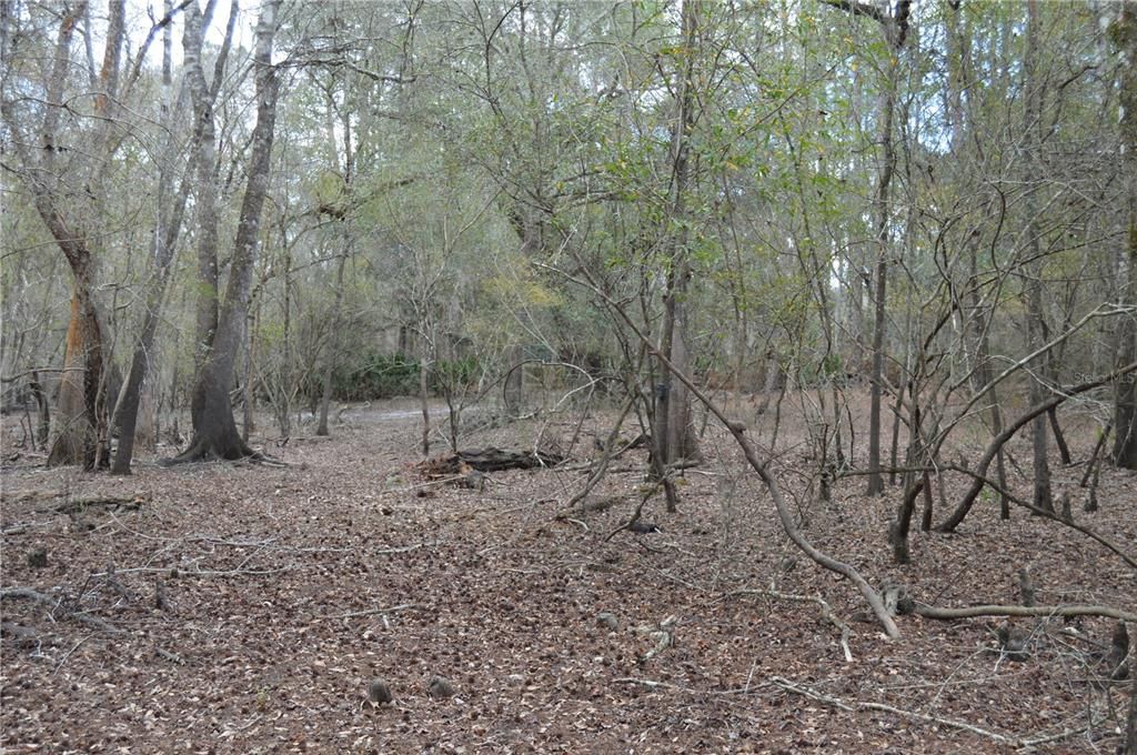 На продажу: $160,000 (5.17 acres)