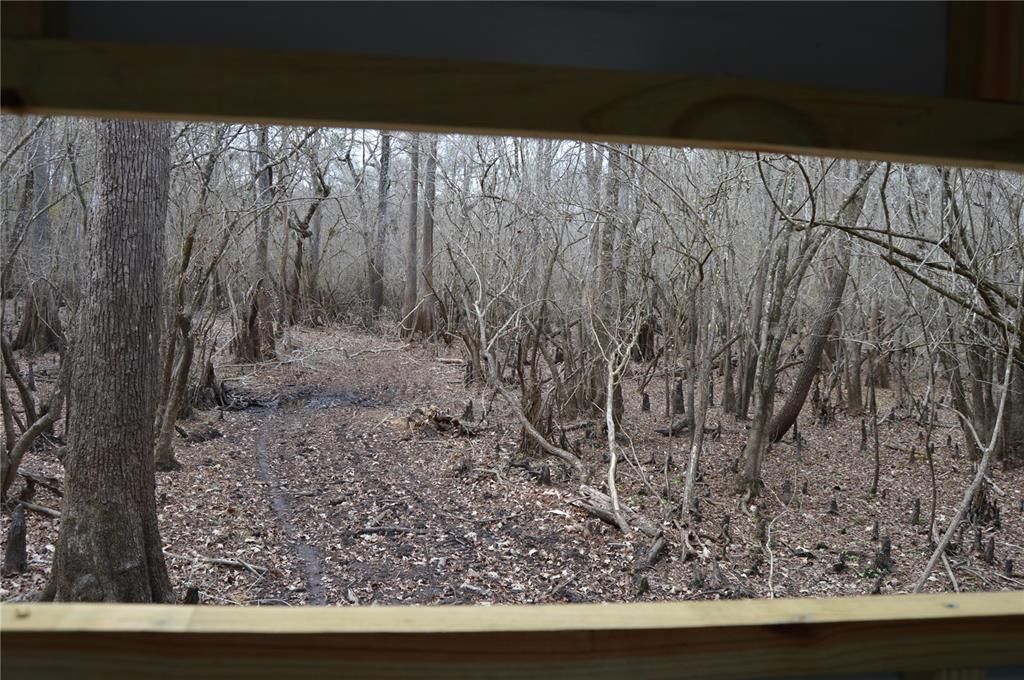 На продажу: $160,000 (5.17 acres)