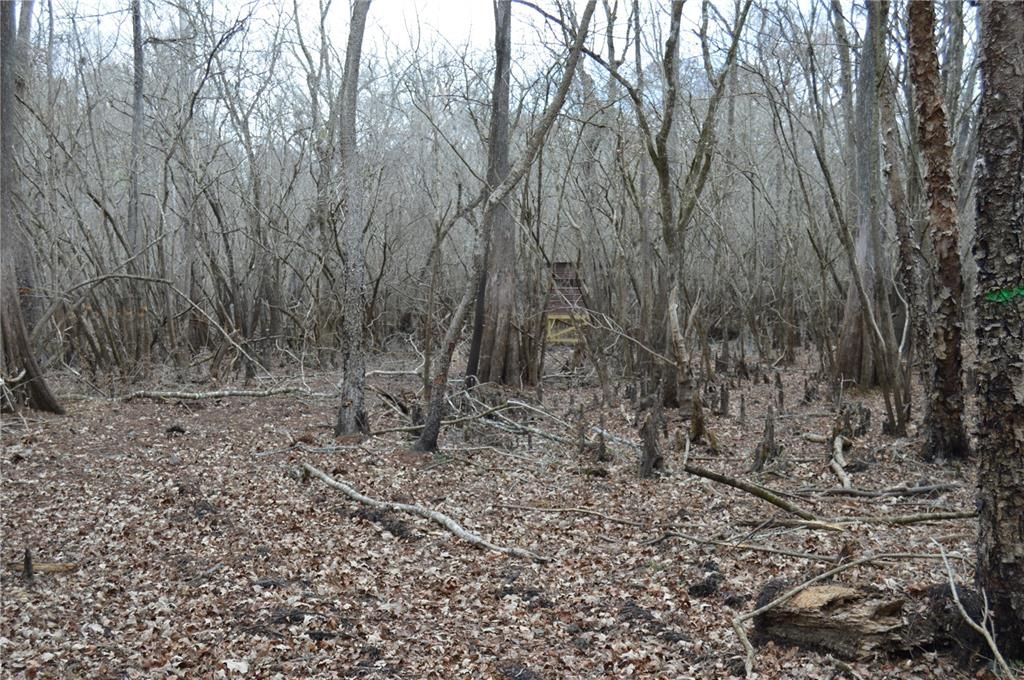 На продажу: $160,000 (5.17 acres)
