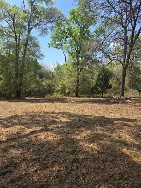 待售: $159,000 (10.01 acres)