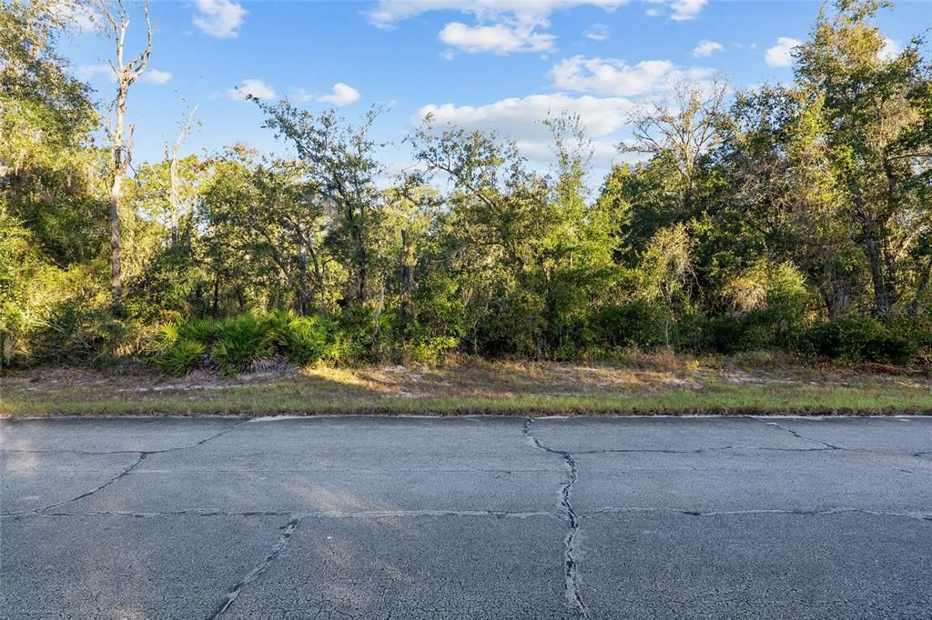 For Sale: $72,500 (1.00 acres)