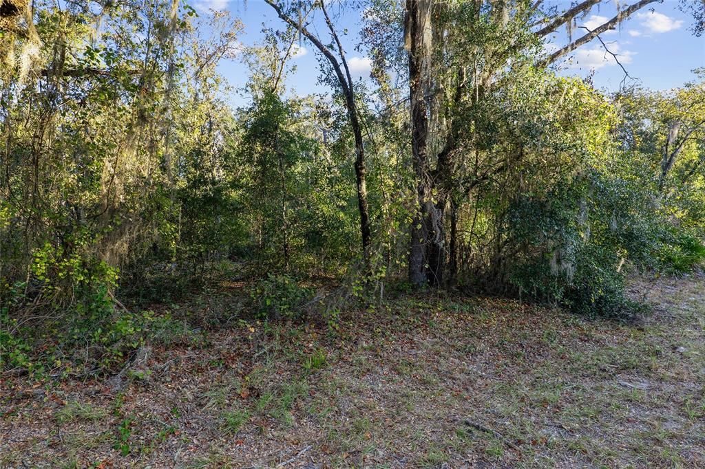 For Sale: $72,500 (1.00 acres)