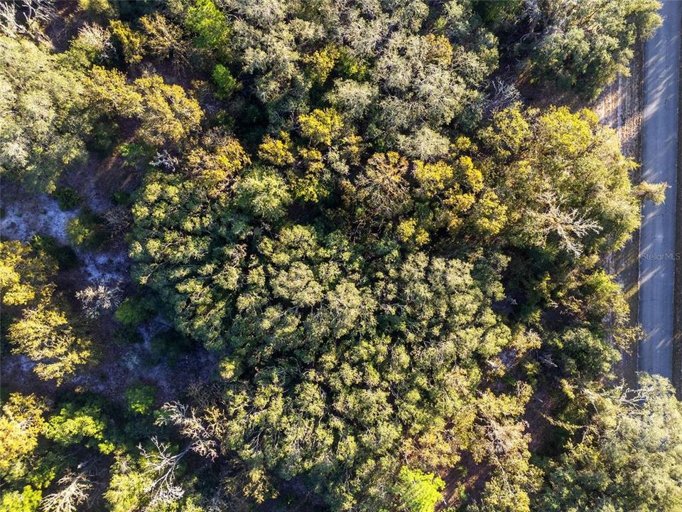 For Sale: $72,500 (1.00 acres)