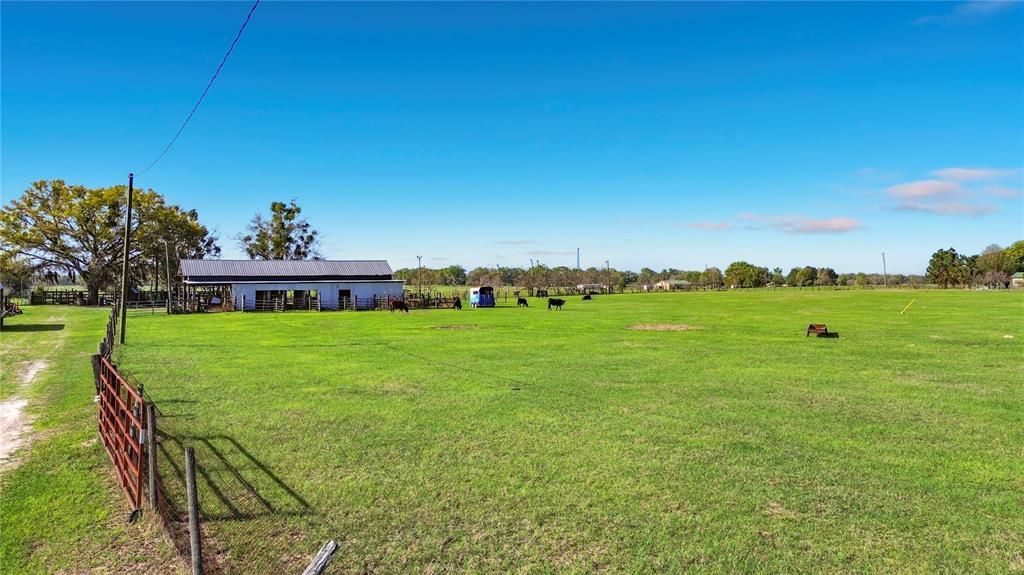 For Sale: $749,000 (20.00 acres)