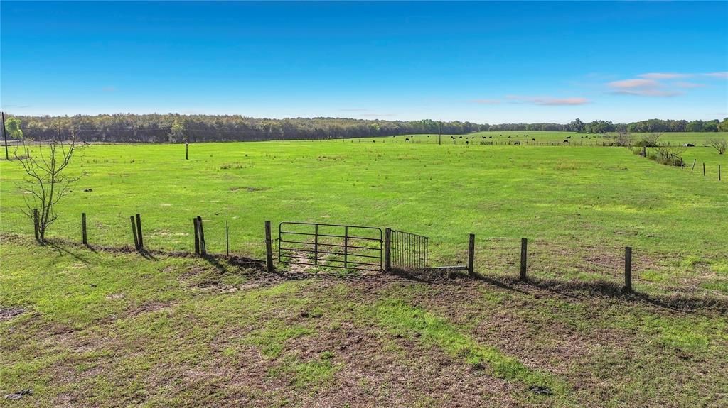 For Sale: $749,000 (20.00 acres)