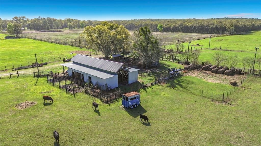 For Sale: $749,000 (20.00 acres)