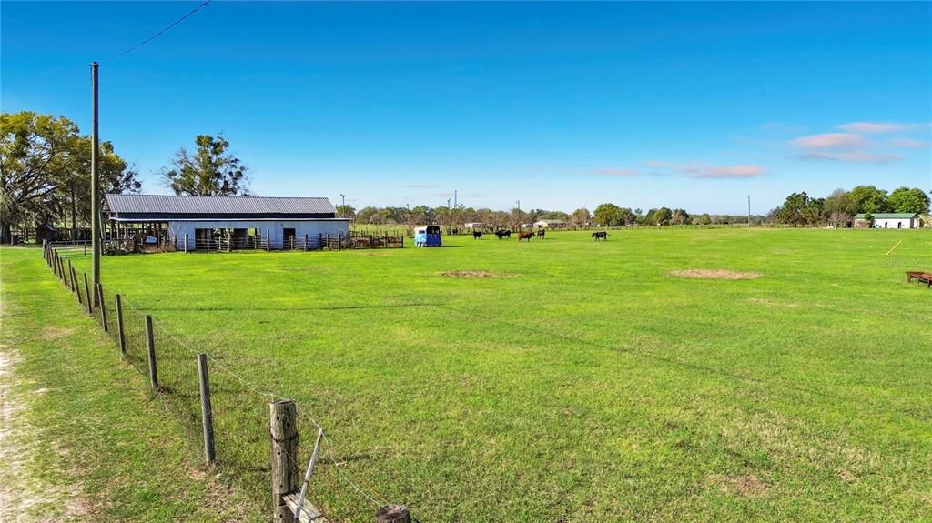 For Sale: $749,000 (20.00 acres)