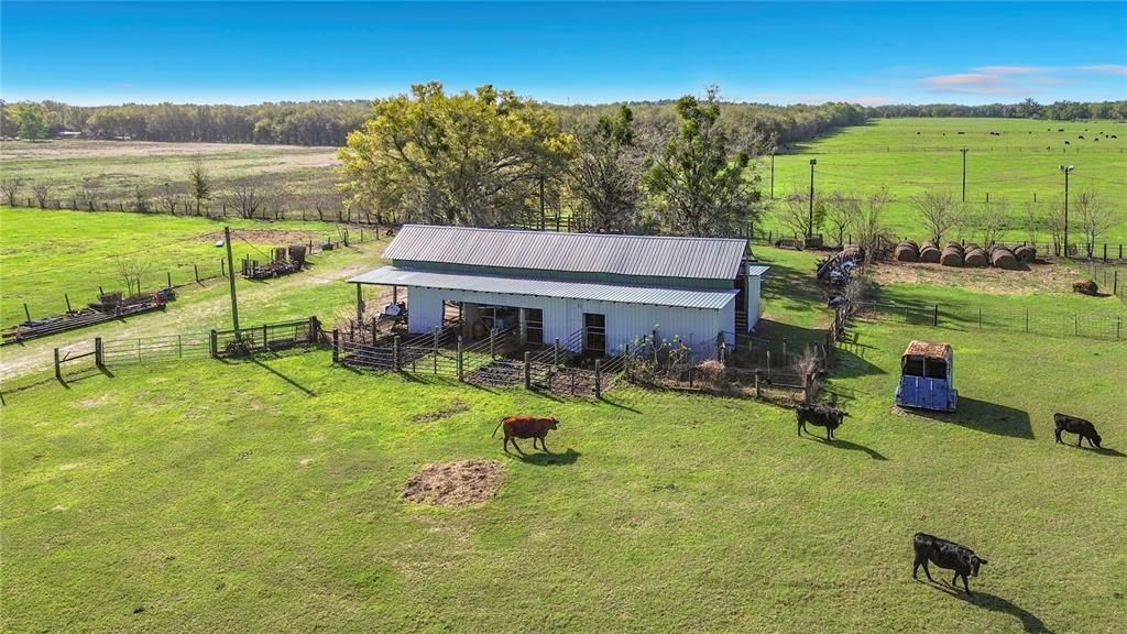 For Sale: $749,000 (20.00 acres)
