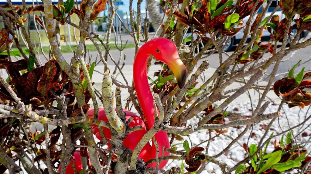 На продажу: $129,900 (1 спален, 1 ванн, 482 Квадратных фут)