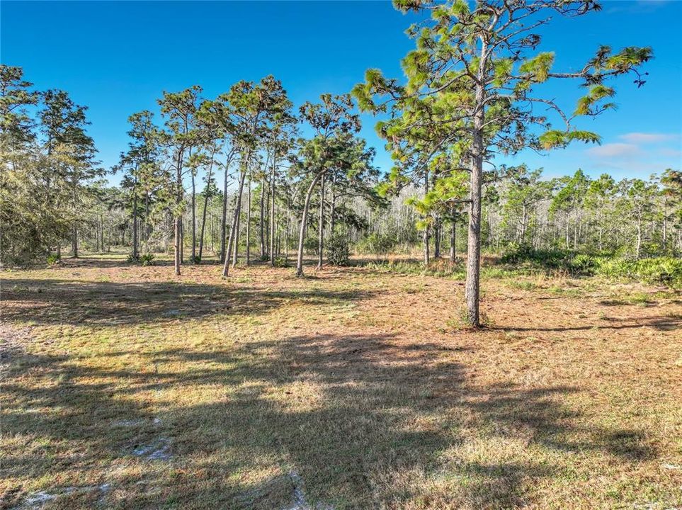 For Sale: $220,000 (1.44 acres)