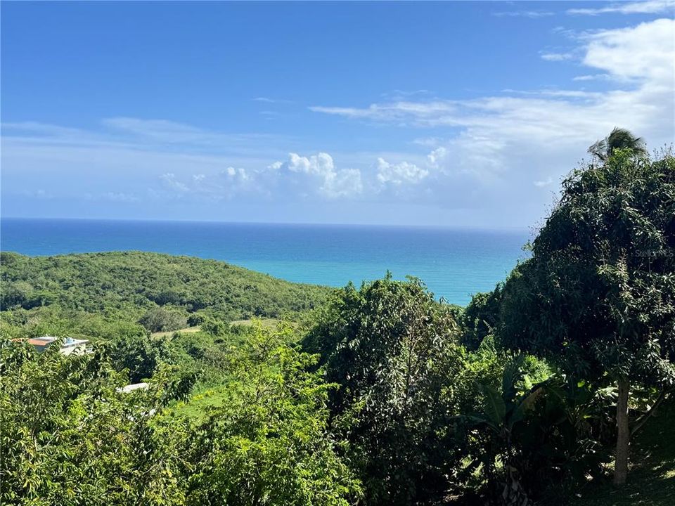 待售: $200,000 (0.24 acres)