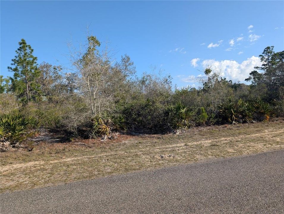 待售: $13,900 (0.50 acres)