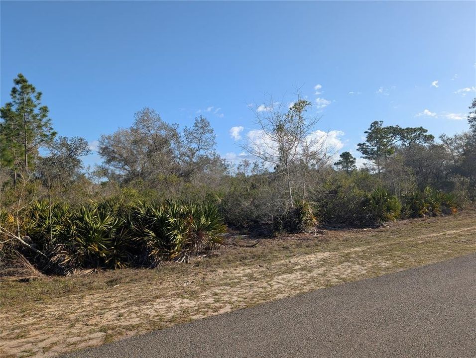 待售: $13,900 (0.50 acres)