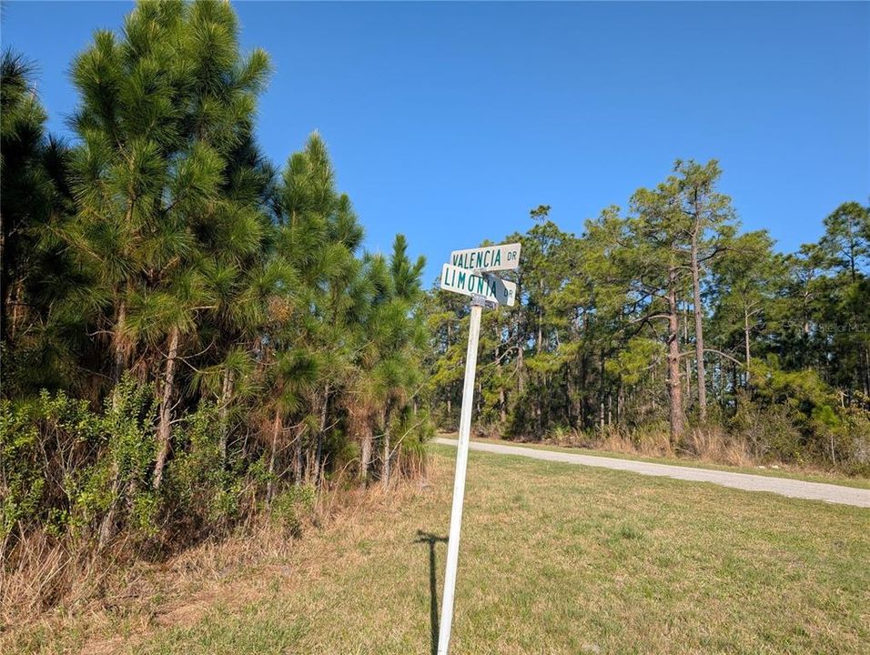 待售: $13,900 (0.50 acres)