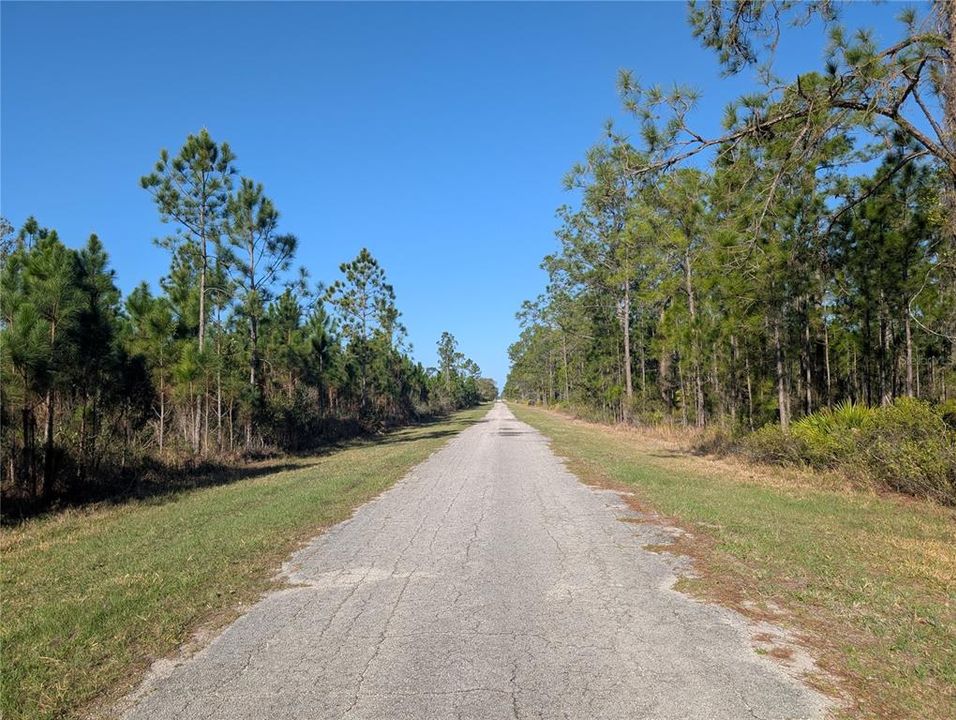 待售: $13,900 (0.50 acres)