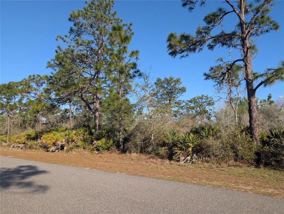 待售: $13,900 (0.50 acres)