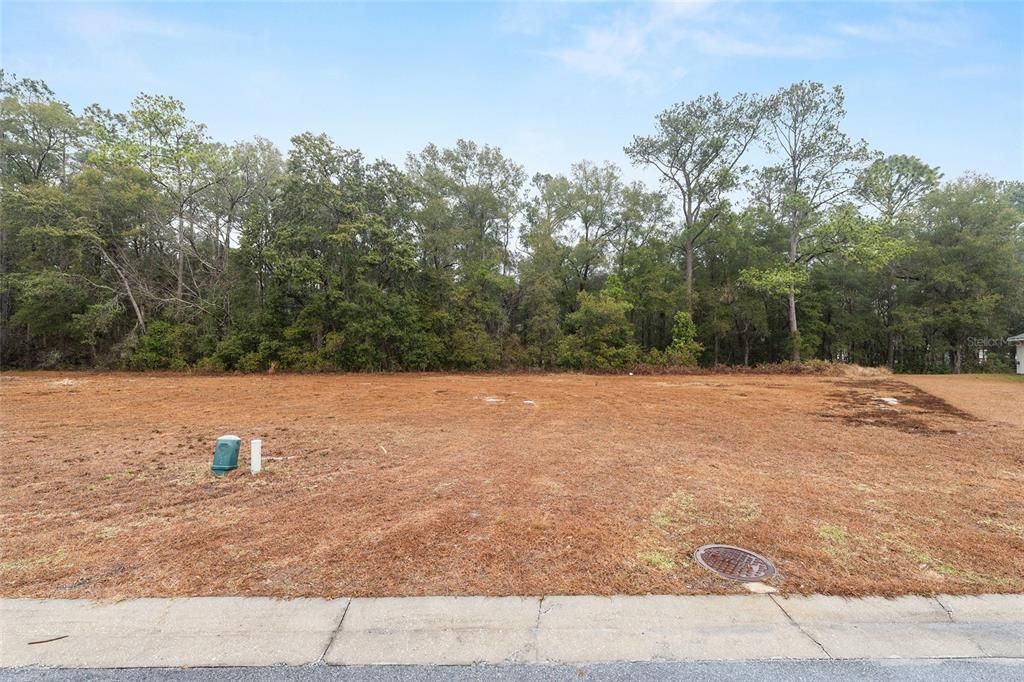 待售: $29,000 (0.23 acres)