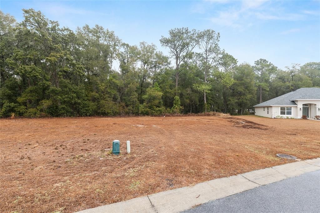 待售: $29,000 (0.23 acres)