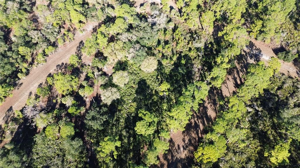 На продажу: $11,900 (0.23 acres)