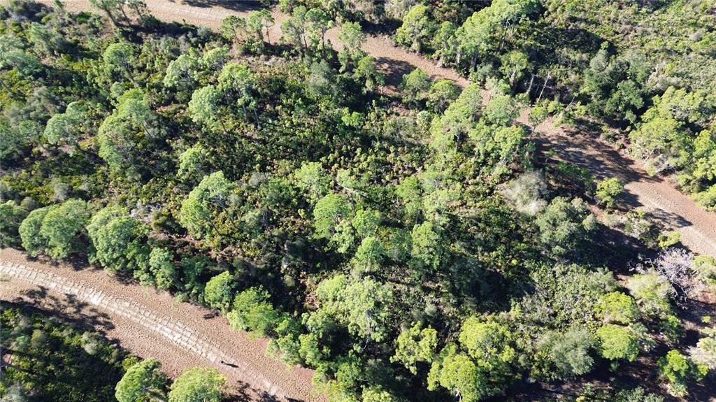 На продажу: $11,900 (0.23 acres)