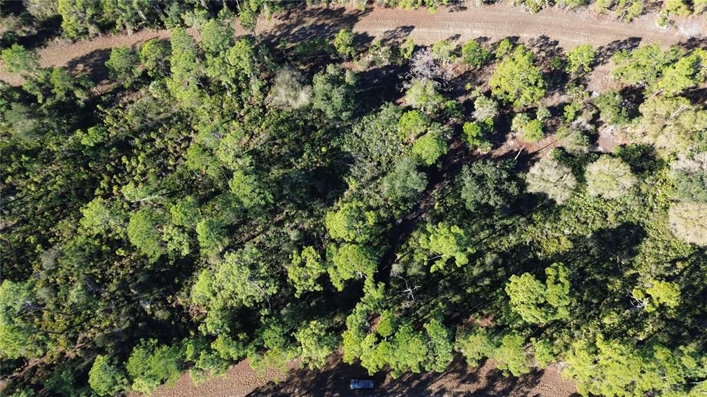 На продажу: $11,900 (0.23 acres)