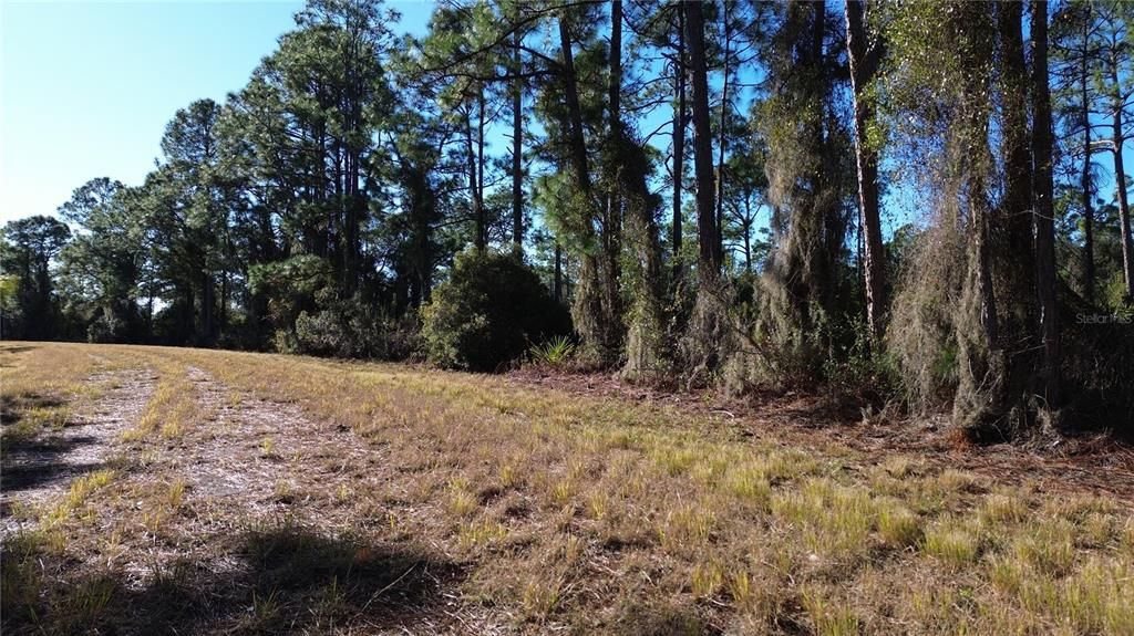 На продажу: $11,900 (0.23 acres)