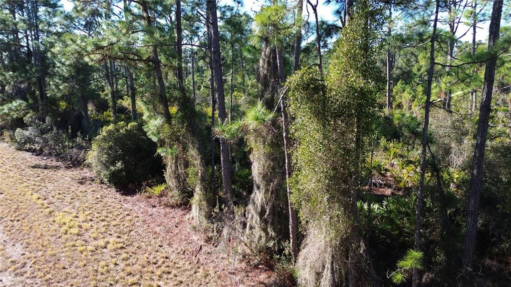 На продажу: $11,900 (0.23 acres)