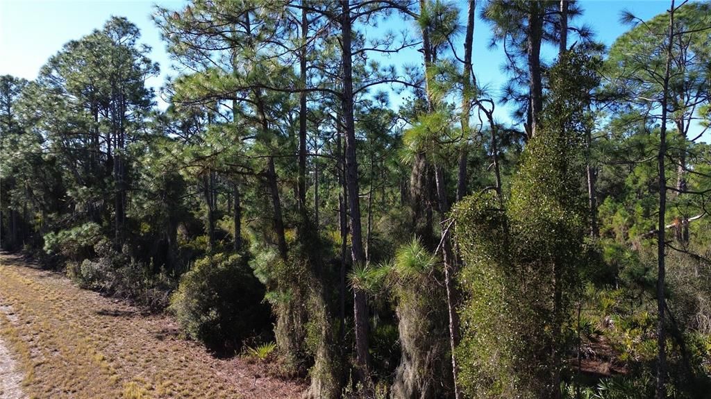 На продажу: $11,900 (0.23 acres)