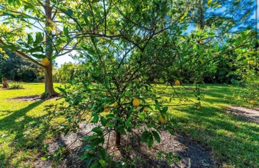 На продажу: $85,000 (0.52 acres)