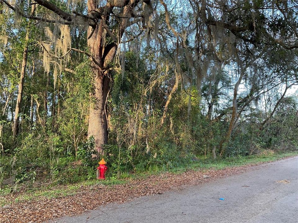 En Venta: $50,000 (0.24 acres)