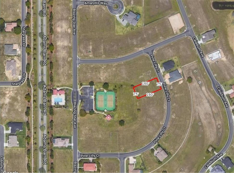 For Sale: $81,000 (0.28 acres)