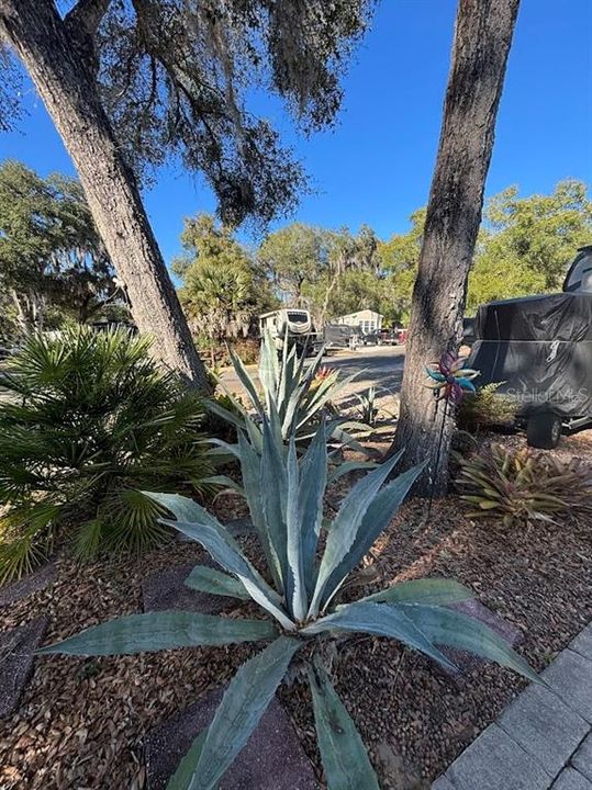 На продажу: $88,000 (0.10 acres)